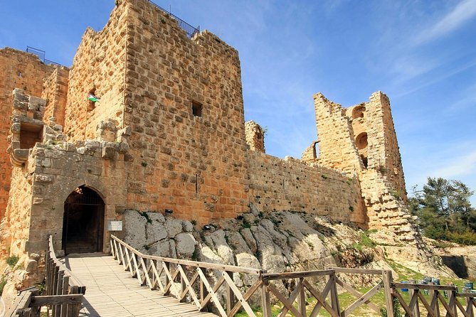 One Day Trip to Jerash & Ajloun Castle - The Oval Plaza and Temple of Zeus