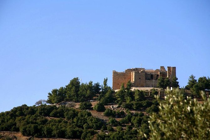 One Day Trip to Jerash & Ajloun Castle - Walking the Cardo Maximus