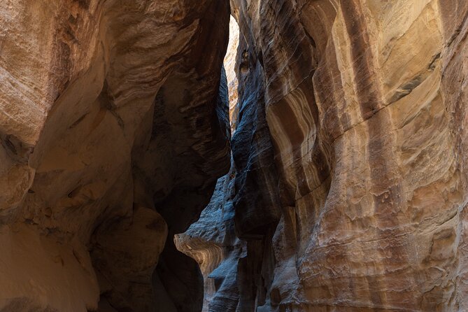 Petra 1 Day Tour from Aqaba - Group Size, Comfort, and Guide Support