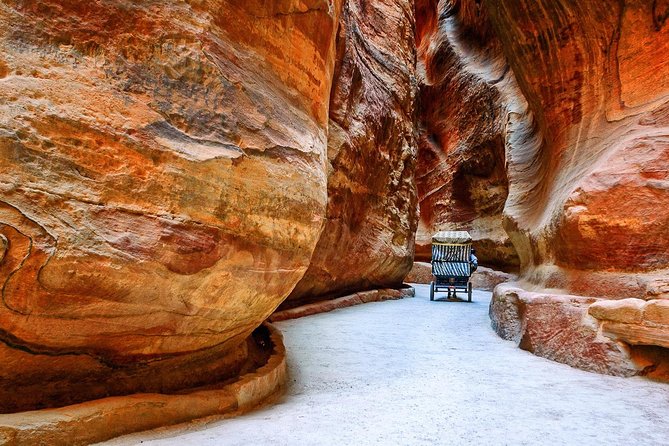 Petra and Wadi Rum Day Trip from Amman - Why the private format matters