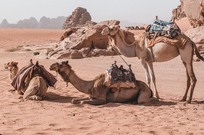 Petra and Wadi Rum in One Day | The Jordanian Mappers - The price makes sense for the right kind of day