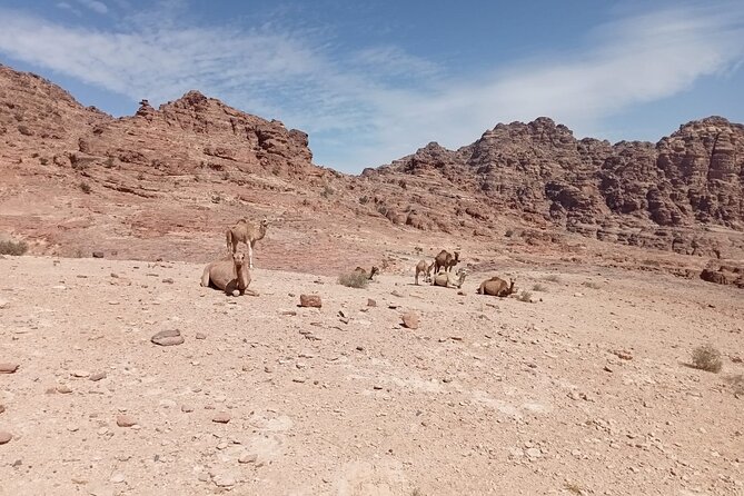 Petra Back-Road Trail and Hike - Why the Little Petra route changes your day