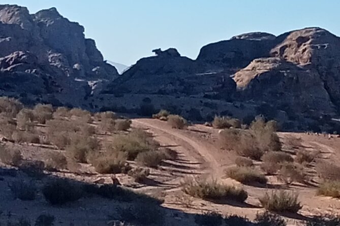 Petra Back-Road Trail and Hike - Walking down into Petra’s central city