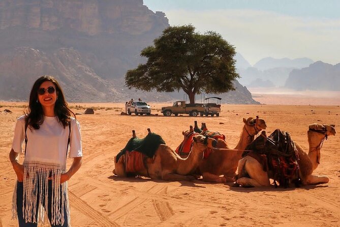 Petra & Dead Sea - One day Private tour - The road from Petra to the Dead Sea