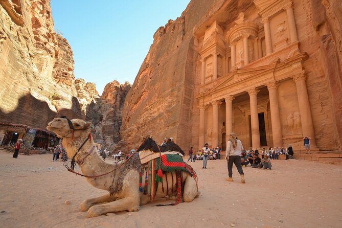 Petra & Dead Sea - One day Private tour - Returning to Amman after a full day