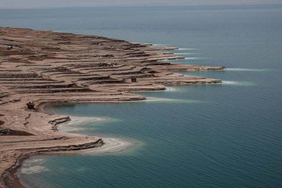 Petra & Dead Sea Private day tour - Key points to know before booking