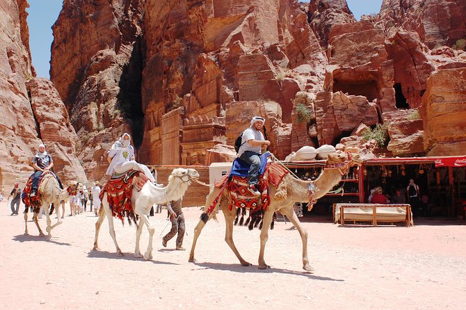 Petra Excursion from Dead Sea - How the $176 price works in practice