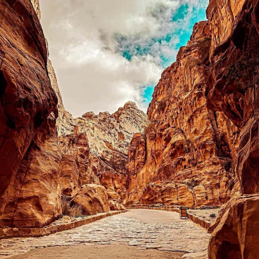 Petra Full-Day Private or Group Tour From Amman - The long road from Amman to Petra