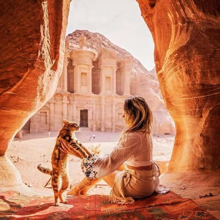 Petra Full-Day Private or Group Tour From Amman - Who will enjoy this Petra day trip most