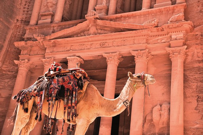 Petra Shore Excursion from Aqaba Port - Key points to know before booking