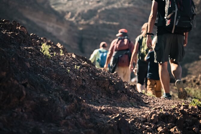 Petra to Wadi Rum Trek - 6 Days - What the $995 price covers