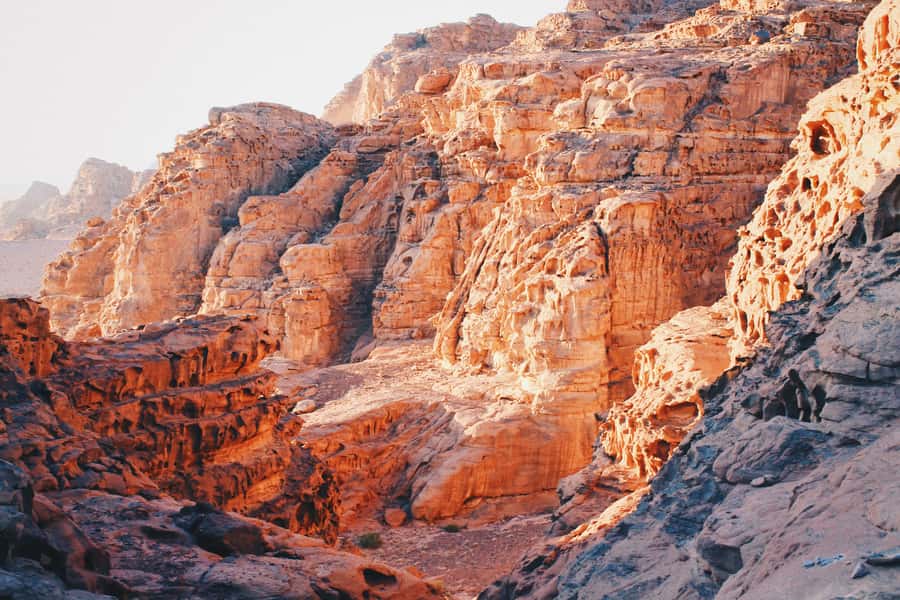 Petra & Wadi Rum: Full Day Private Tour with Hotel Pickup - What the $133 price really buys