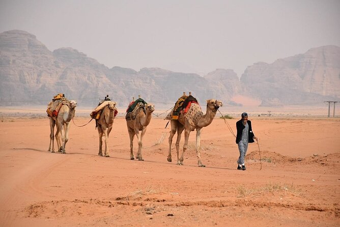 Petra & Wadi Rum Full-Day Tour from Amman or Airport - The drive south to Wadi Rum