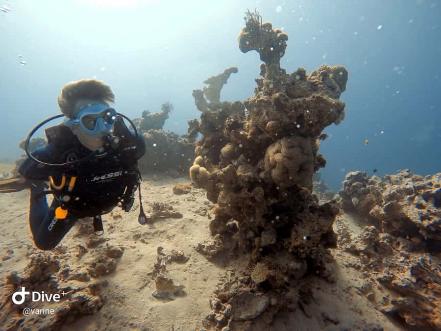 Pivate scuba diving in the Red Sea of Aqaba - Clear Red Sea water, with a private feel