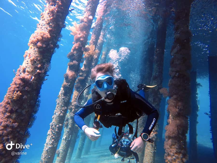 Pivate scuba diving in the Red Sea of Aqaba - Coral reefs, marine life, and possible wreck views