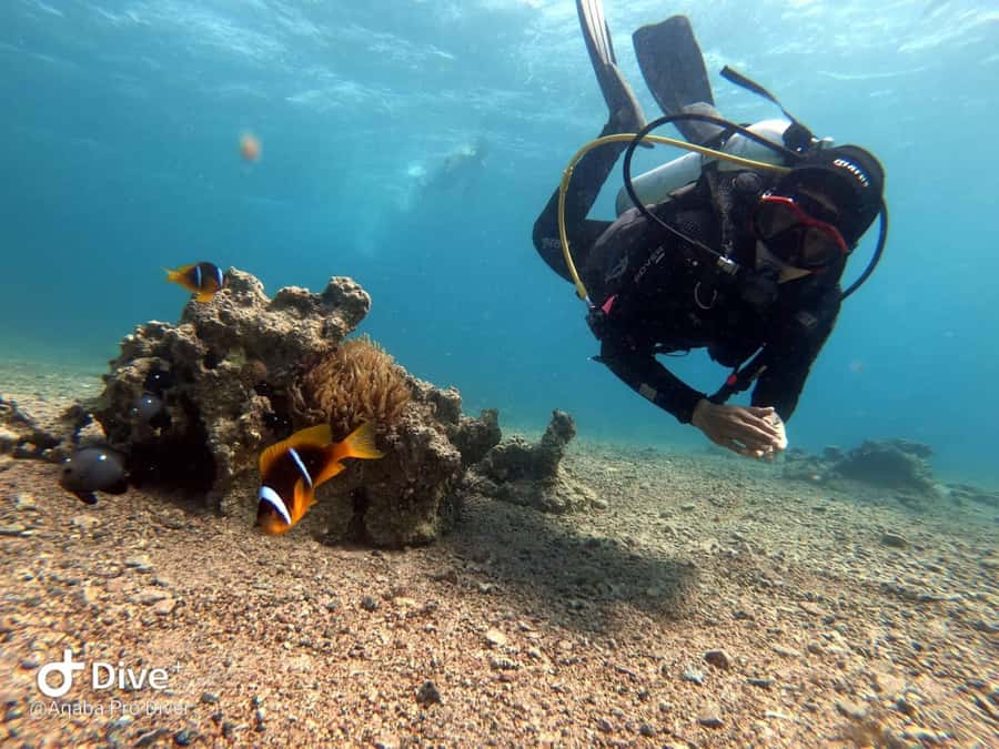 Pivate scuba diving in the Red Sea of Aqaba - Underwater photos turn a short session into a keepsake
