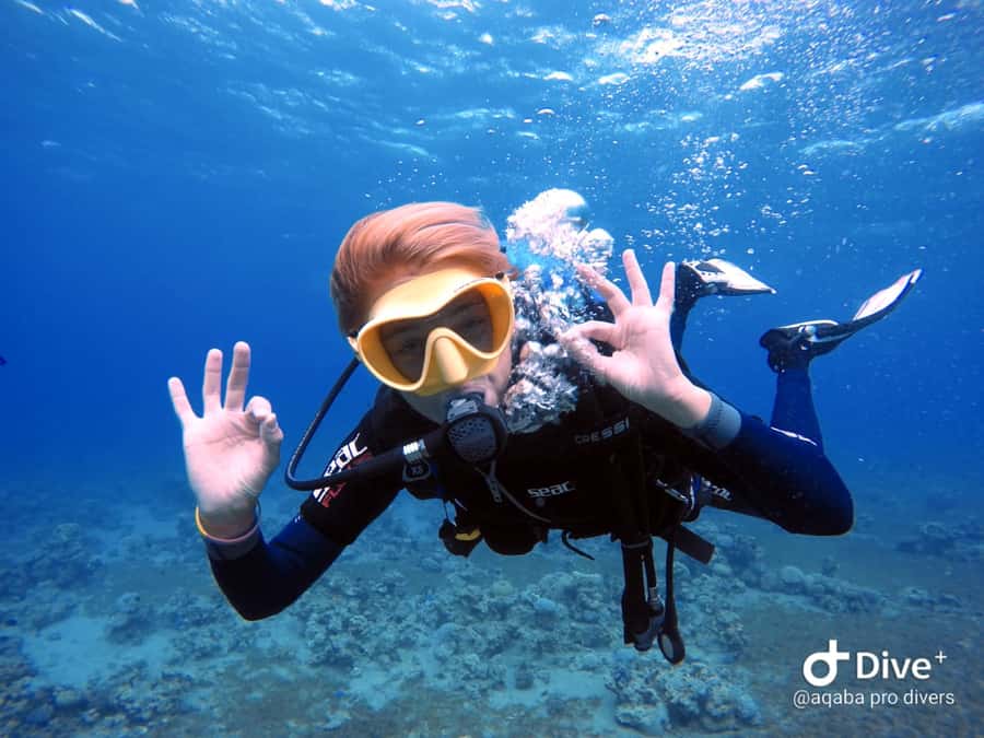 Pivate scuba diving in the Red Sea of Aqaba - Who will enjoy this private Aqaba session