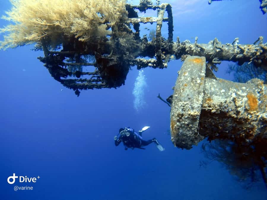 Pivate scuba diving in the Red Sea of Aqaba - A first underwater breath without pressure