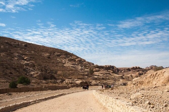 Private 5-Day Guided Tour of Jordan - Private transport and guide support