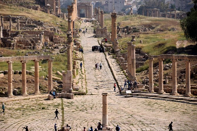 Private Day Trip to Jerash, Umm Qais and Ajloun Castle from Amman - What your private driver actually does