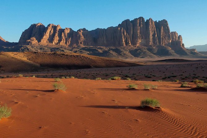 Private Day Trip to Petra and Wadi Rum with Lunch from Aqaba City - Who will enjoy this day most?