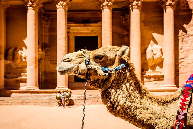 Private Full Day Tour from Amman to Petra City - The Djinn blocks and the first ancient remains
