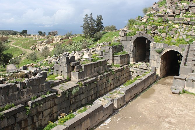 Private Full Day Tour to Umm Qais and Ajloun from Amman - Reading the schedule realistically