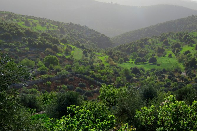 Private Full Day Tour to Umm Qais and Ajloun from Amman - The guide arrangement deserves a clear question