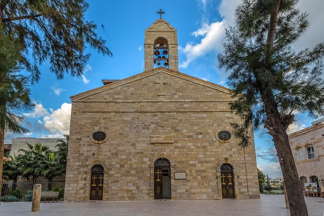 Private Full Trip of Madaba City Mosaics,Mount Nebo,Dead Sea & Amman Sightseeing - The private vehicle and guide experience