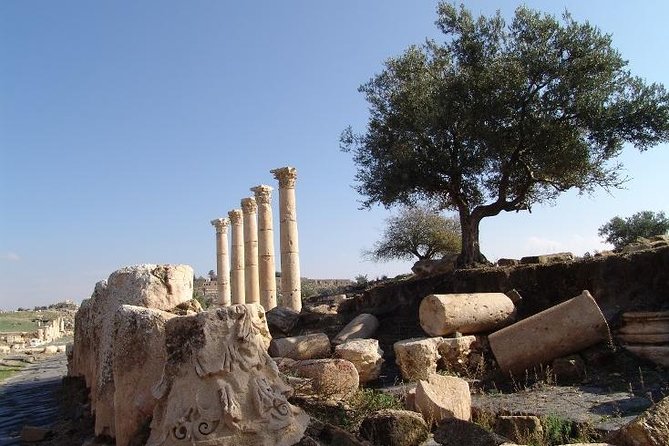 Private Guided Umm Quais and Jerash tour with lunch - Starting from Amman at 8:00 a.m.