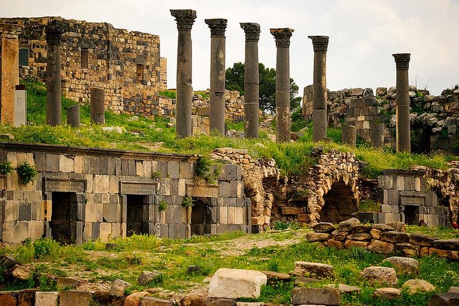 Private Guided Umm Quais and Jerash tour with lunch - Is $224 per person good value?