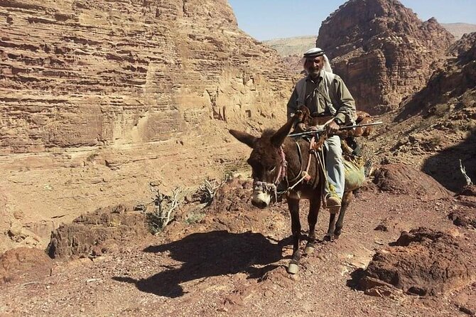 Private Half-Day Tour of Petra with Lunch - Booking details worth confirming
