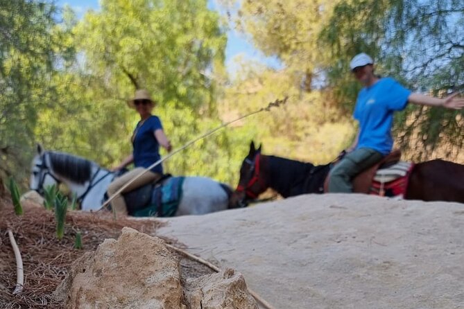 Private Indiana-Jones Archeological Trail Tour - Finishing near the High Place of Sacrifice