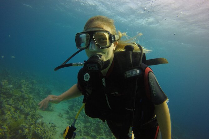 Private Intro Scuba Dive – Aqaba Coral Reefs - The 15-minute briefing and gear fitting