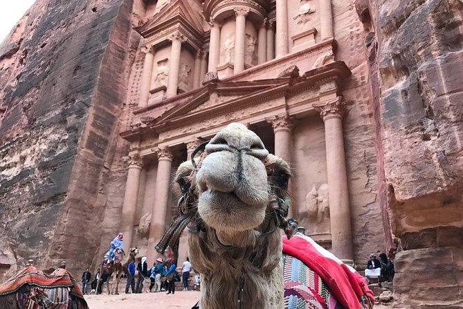 Private Petra Full-Day Trip from Aqaba City - Is $282.06 per person fair value?