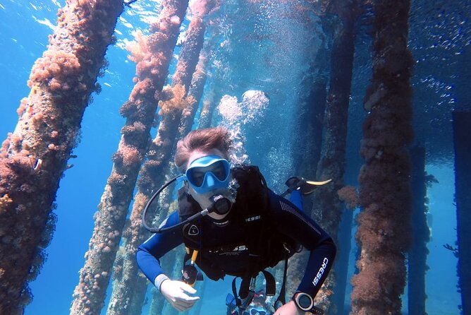 Private Scuba Diving Adventure in the Red Sea of Aqaba - Why Aqaba’s Shore Reefs Make a Good First Scuba Outing