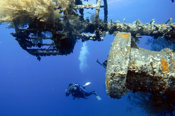 Private Scuba Diving Adventure in the Red Sea of Aqaba - Choosing a Site as a Certified Scuba User