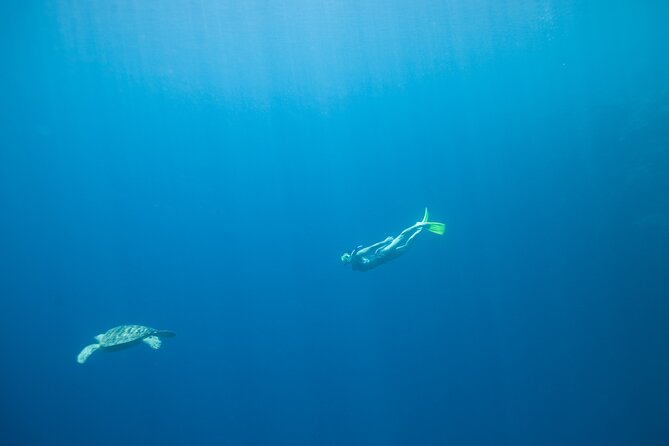Private Snorkeling Experience in Aqaba Red Sea - Why Aqaba’s Red Sea shore is worth seeing