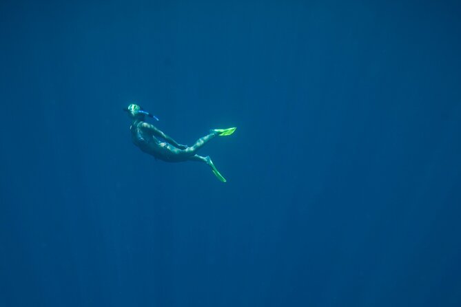 Private Snorkeling Experience in Aqaba Red Sea - From the shore into the Red Sea