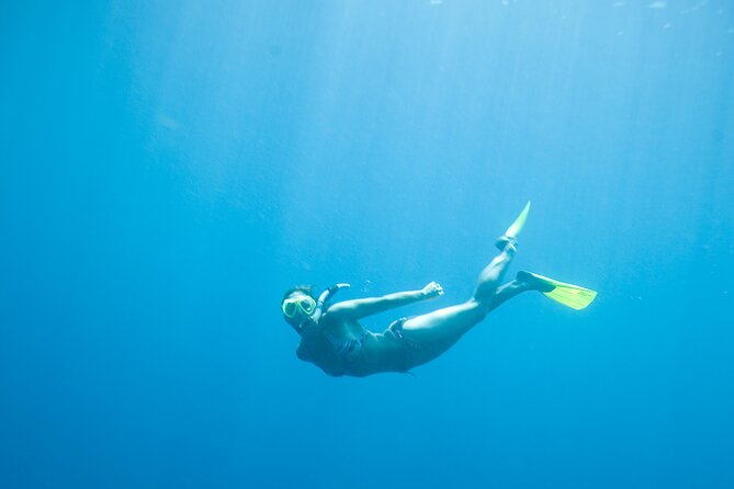 Private Snorkeling Experience in Aqaba Red Sea - A private format that suits beginners