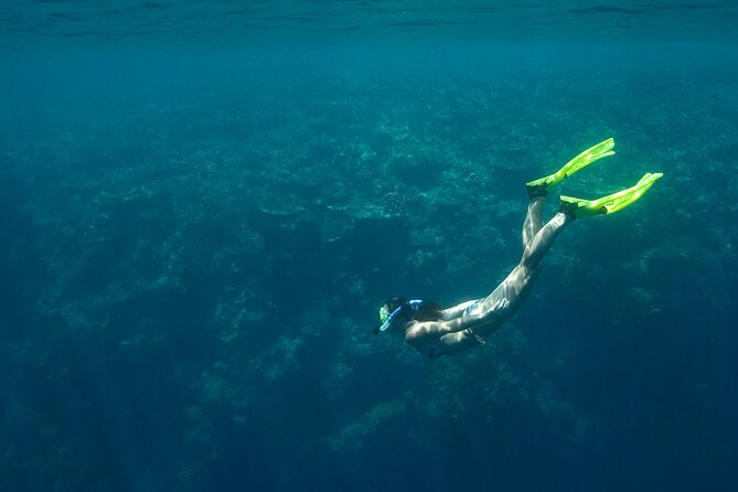 Private Snorkeling Experience in Aqaba Red Sea - Is $27 a good value?