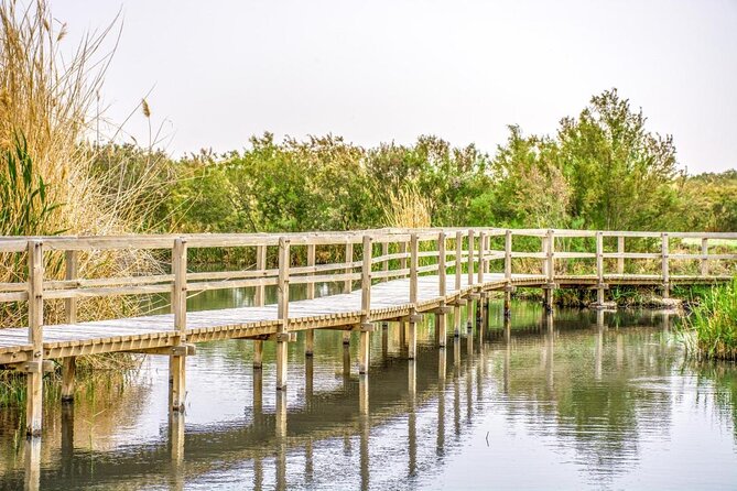 Private Tour of Desert Castles Eastern Jordan with optional Azraq Wetland Visit - Key points to know before you book