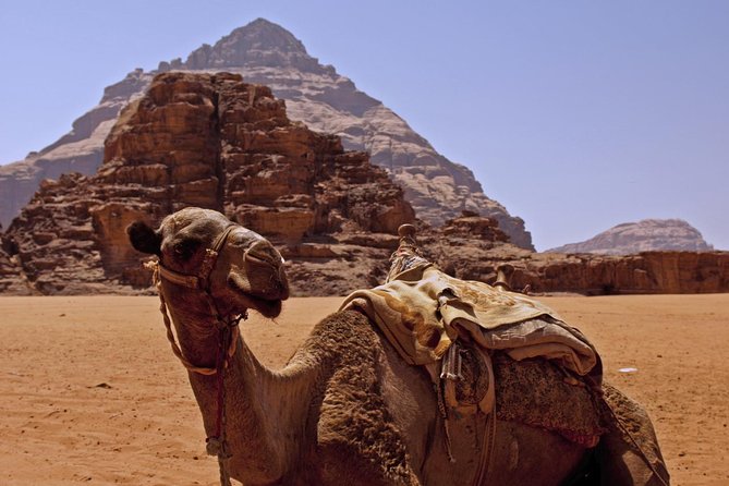 Private Tour of Wadi Rum Star Wars from Aqaba - Mint tea in a Bedouin tent