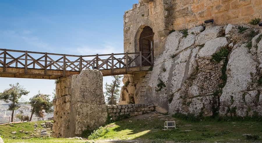 Private Tour to Jerash and Ajloun from Amman - Food, timing, and what to carry
