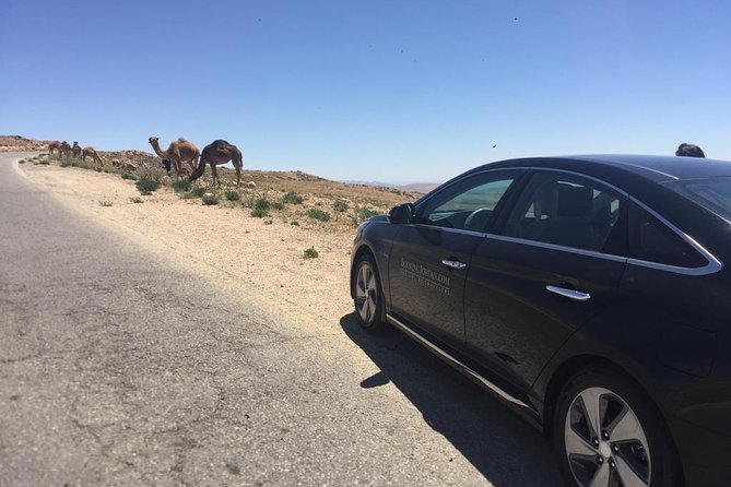 Private Transfer from Amman to Petra, Wadi Musa - Hotel pickup in Amman and arrival in Wadi Musa
