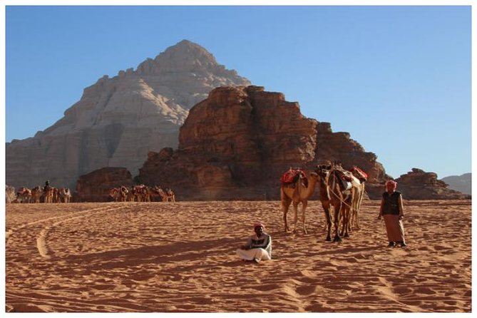Private transfer Petra to/from Wadi Rum - Is $140 a fair price?