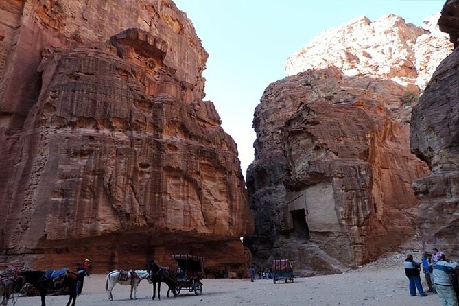 Private Transfers from Amman City Inside Jordan and Vice Versa - Amman to Petra and Wadi Musa