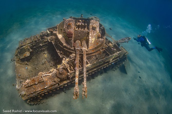 Scuba Diving for Certified Divers - Aqaba’s underwater wrecks are the main event