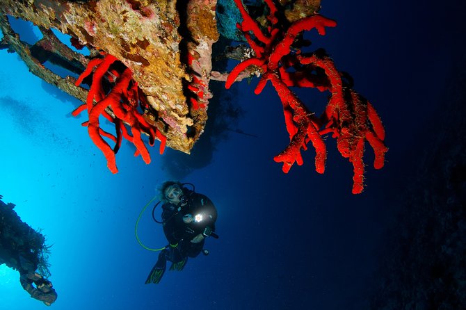 Scuba Diving for Certified Divers - The boat setting and the pace of the day