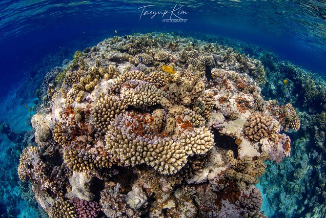 Scuba Diving for Certified Divers - What the 7:30 am start looks like